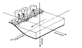 ../../_images/ingegneria_naturalistica_4.png